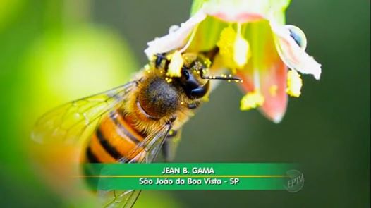 1488143_3785933784125_399082796_n